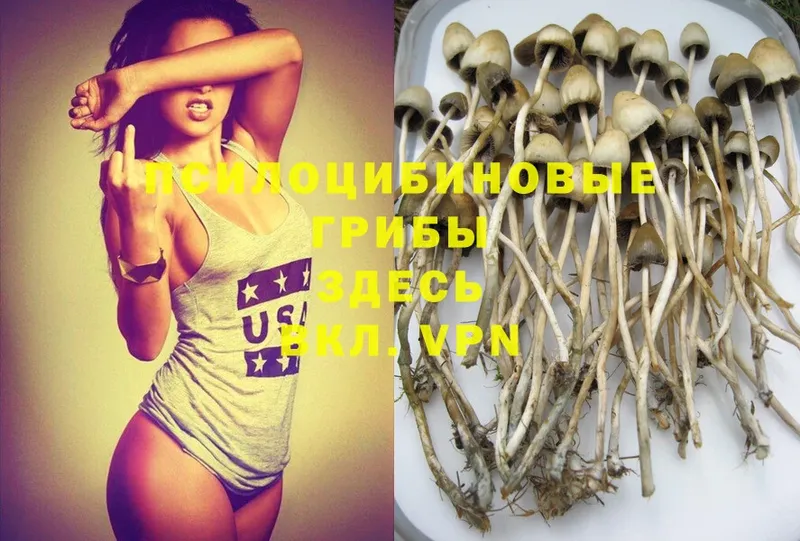 Галлюциногенные грибы Psilocybe  omg ССЫЛКА  Ефремов 